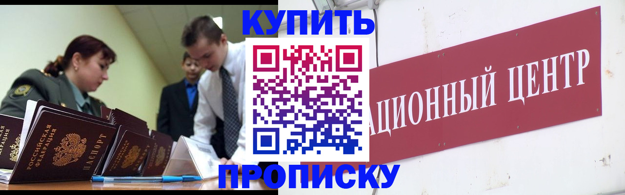прописка поиск в Новосибирской области